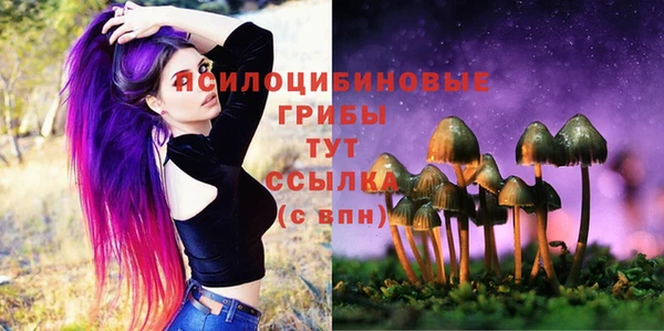 a pvp Абинск