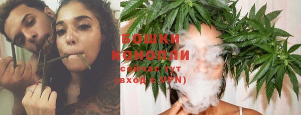 ГАЛЛЮЦИНОГЕННЫЕ ГРИБЫ Абдулино